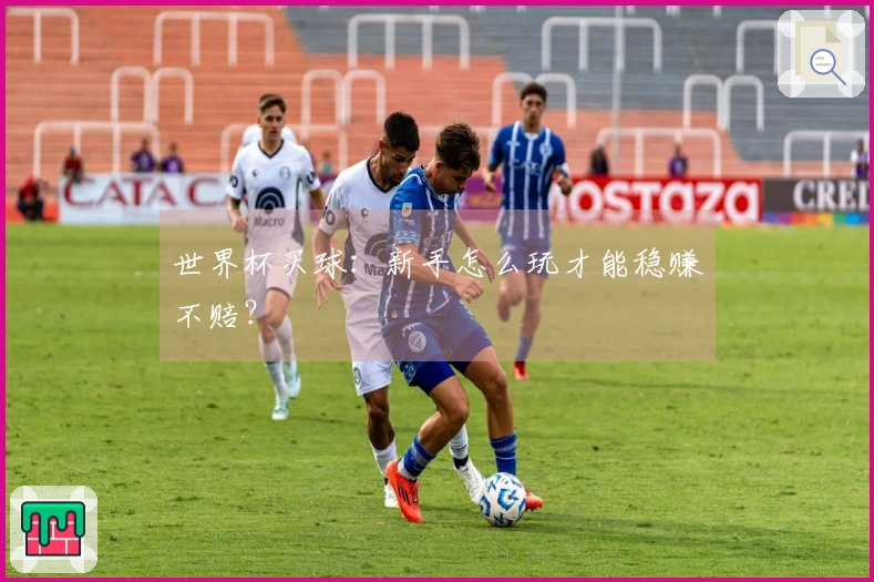 世界杯买球：新手怎么玩才能稳赚不赔？