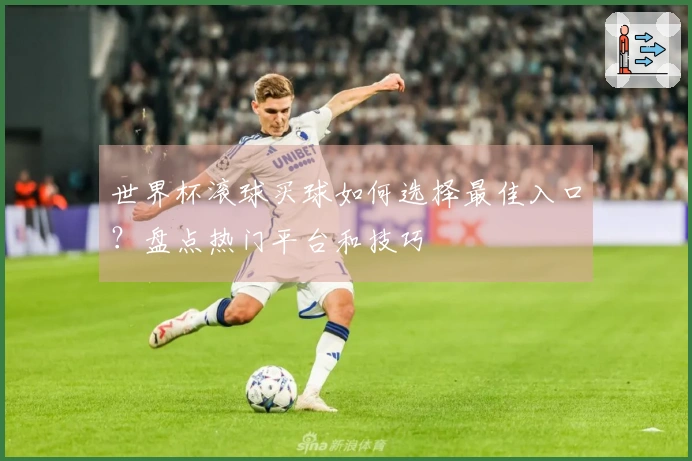 世界杯滚球买球如何选择最佳入口？盘点热门平台和技巧