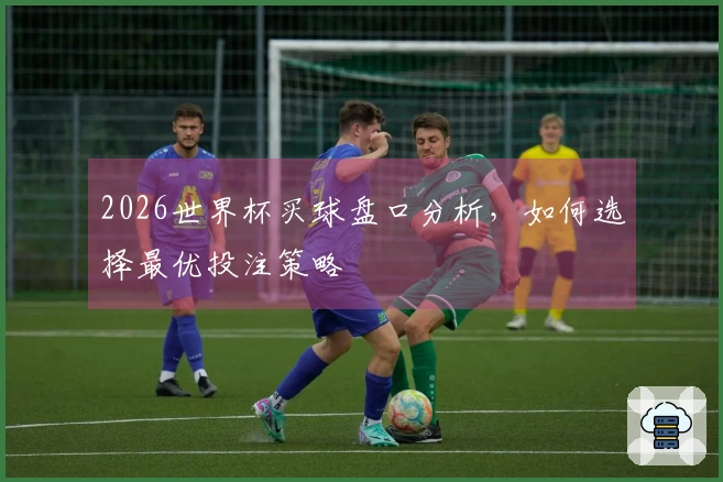 2026世界杯买球盘口分析，如何选择最优投注策略