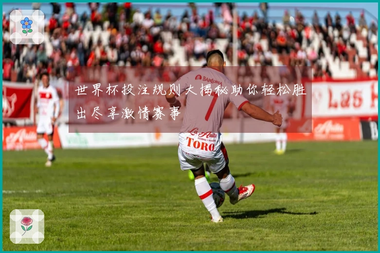 世界杯投注规则大揭秘助你轻松胜出尽享激情赛事
