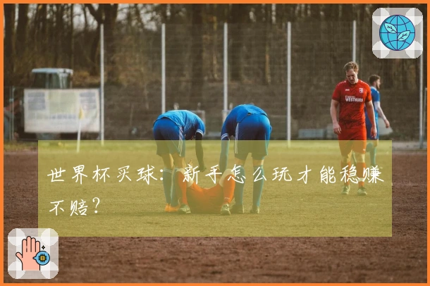 世界杯买球：新手怎么玩才能稳赚不赔？